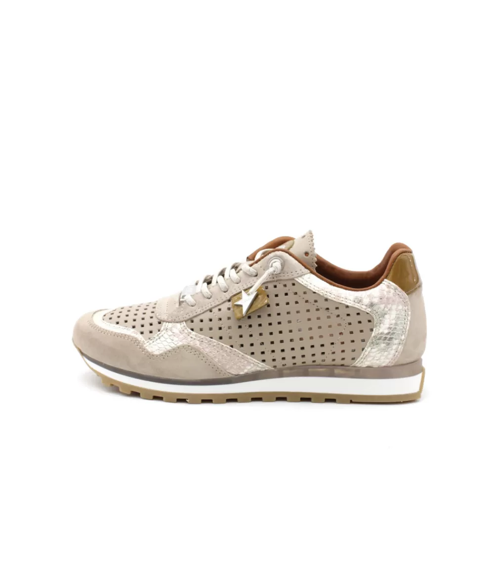 Women cetti Sneakers- C848 Sra Ante Sweet