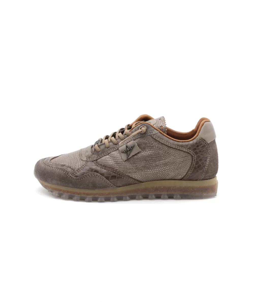 Women cetti Sneakers- C848 Sra Ante Tejus