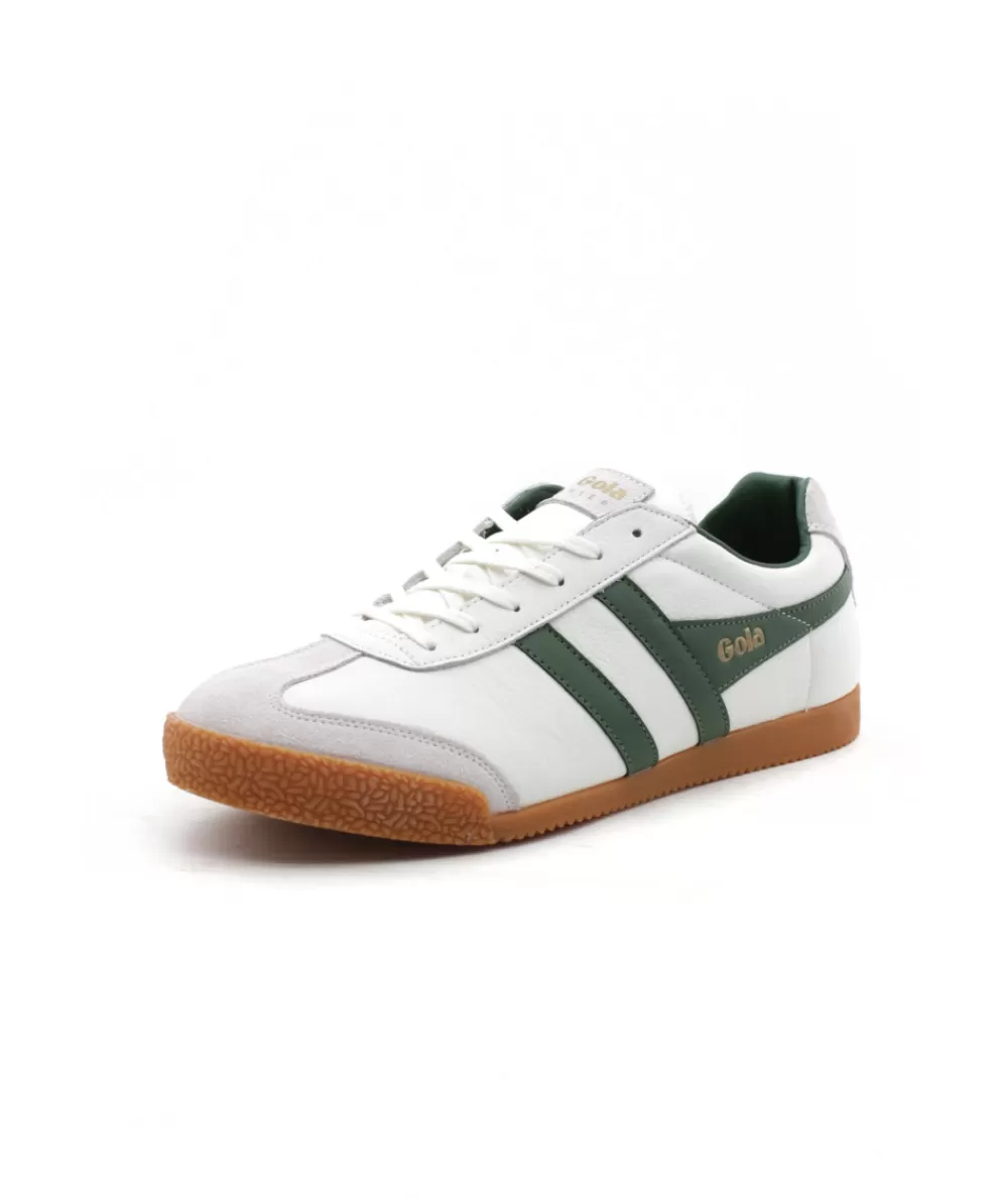 Man gola Sneakers- Harrier Cmb426