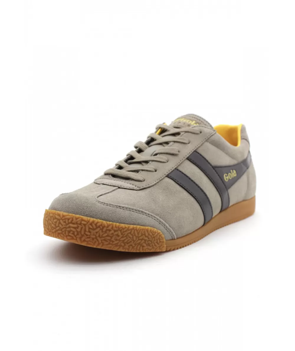 Man gola Sneakers- Harrier Rhino Brown