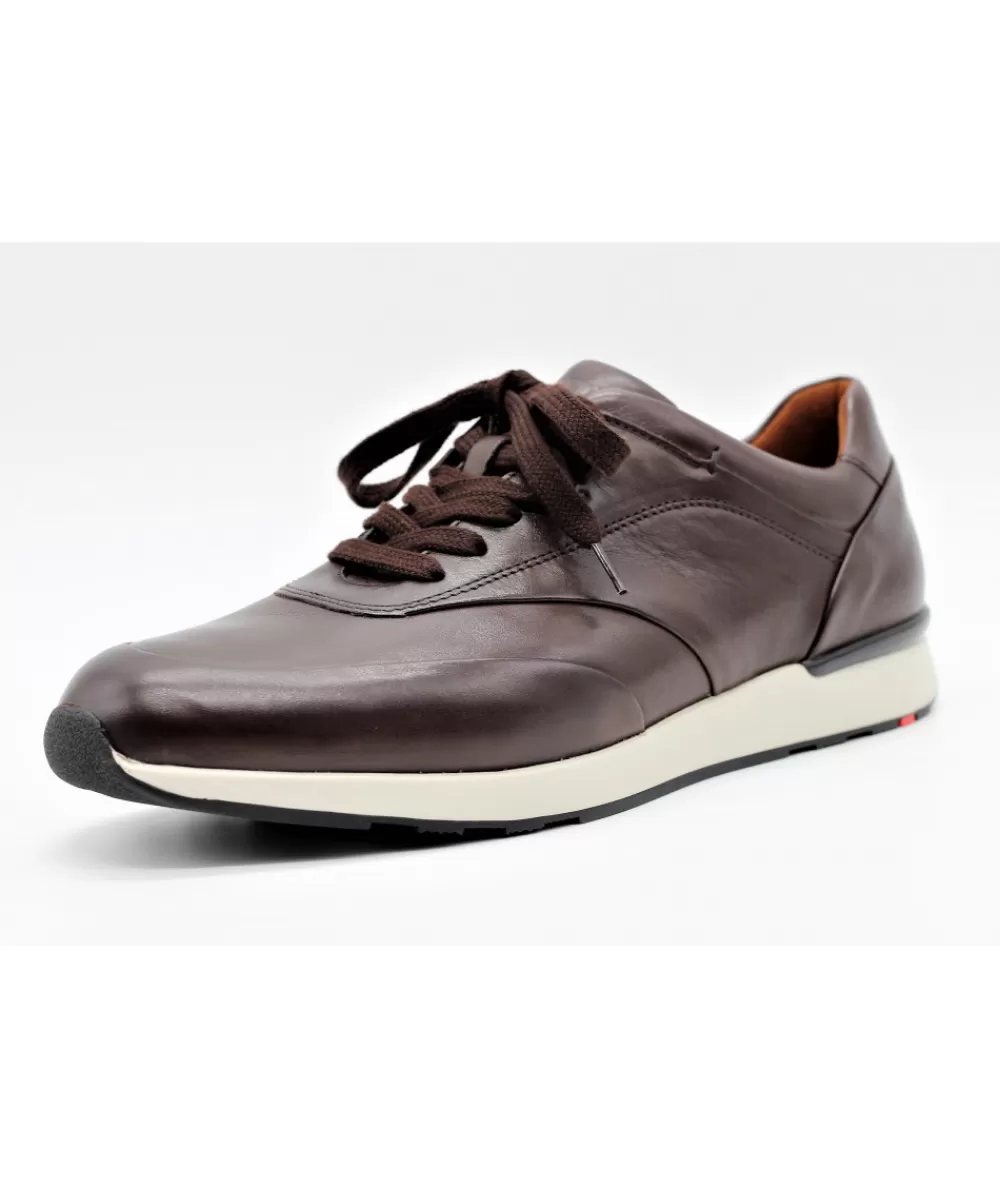 Man lloyd Sneakers- Ajas