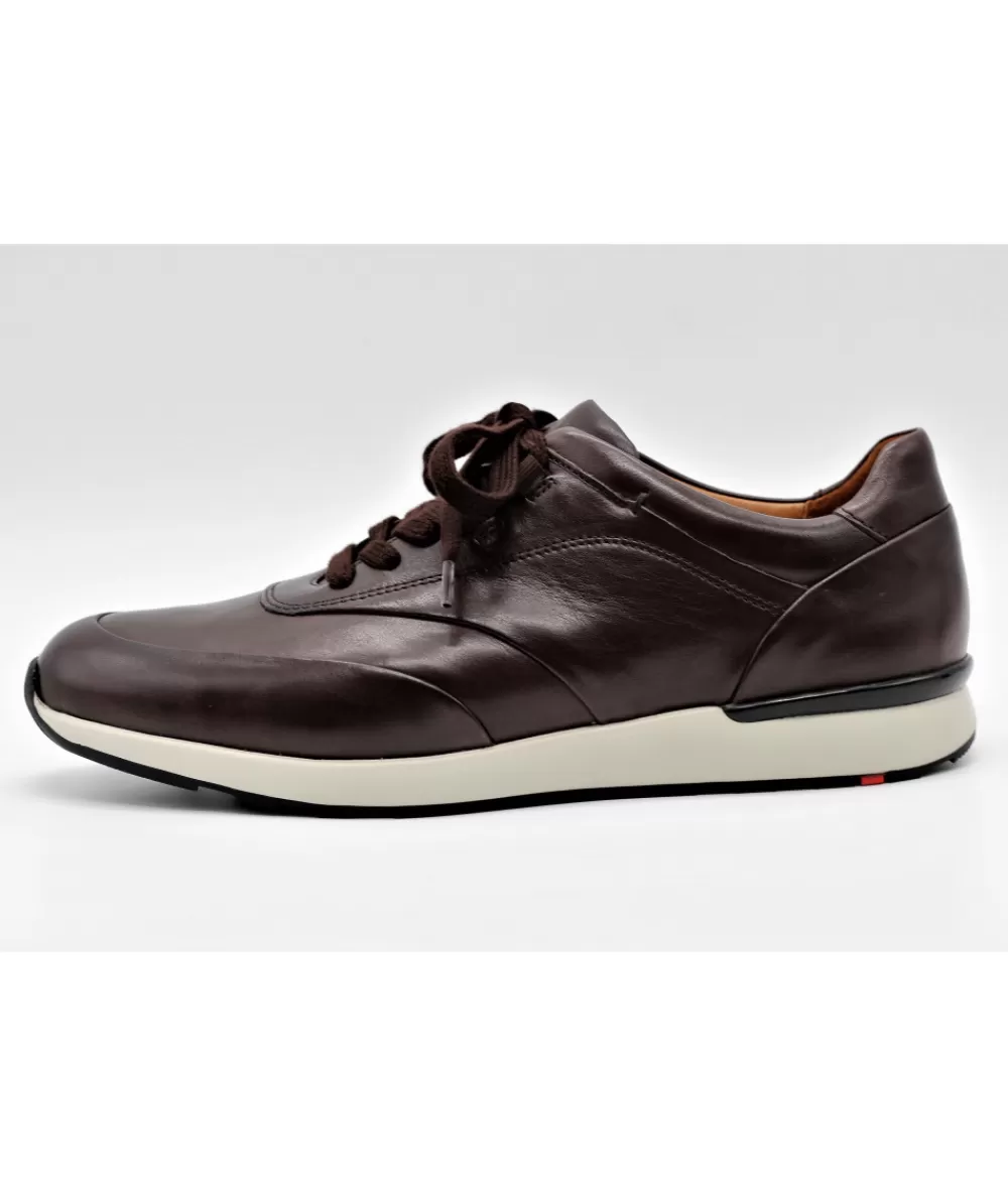 Man lloyd Sneakers- Ajas