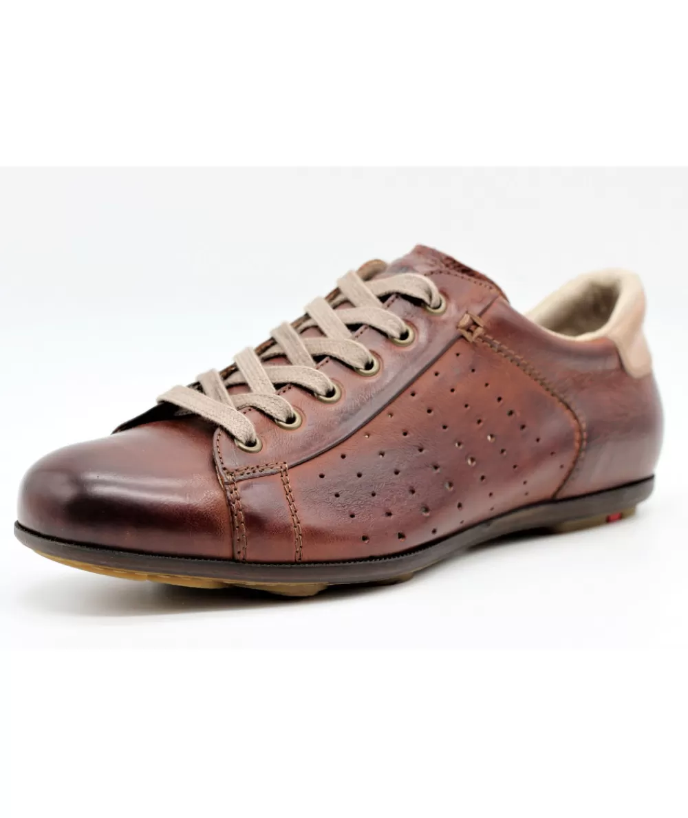 Man lloyd Sneakers- Barney