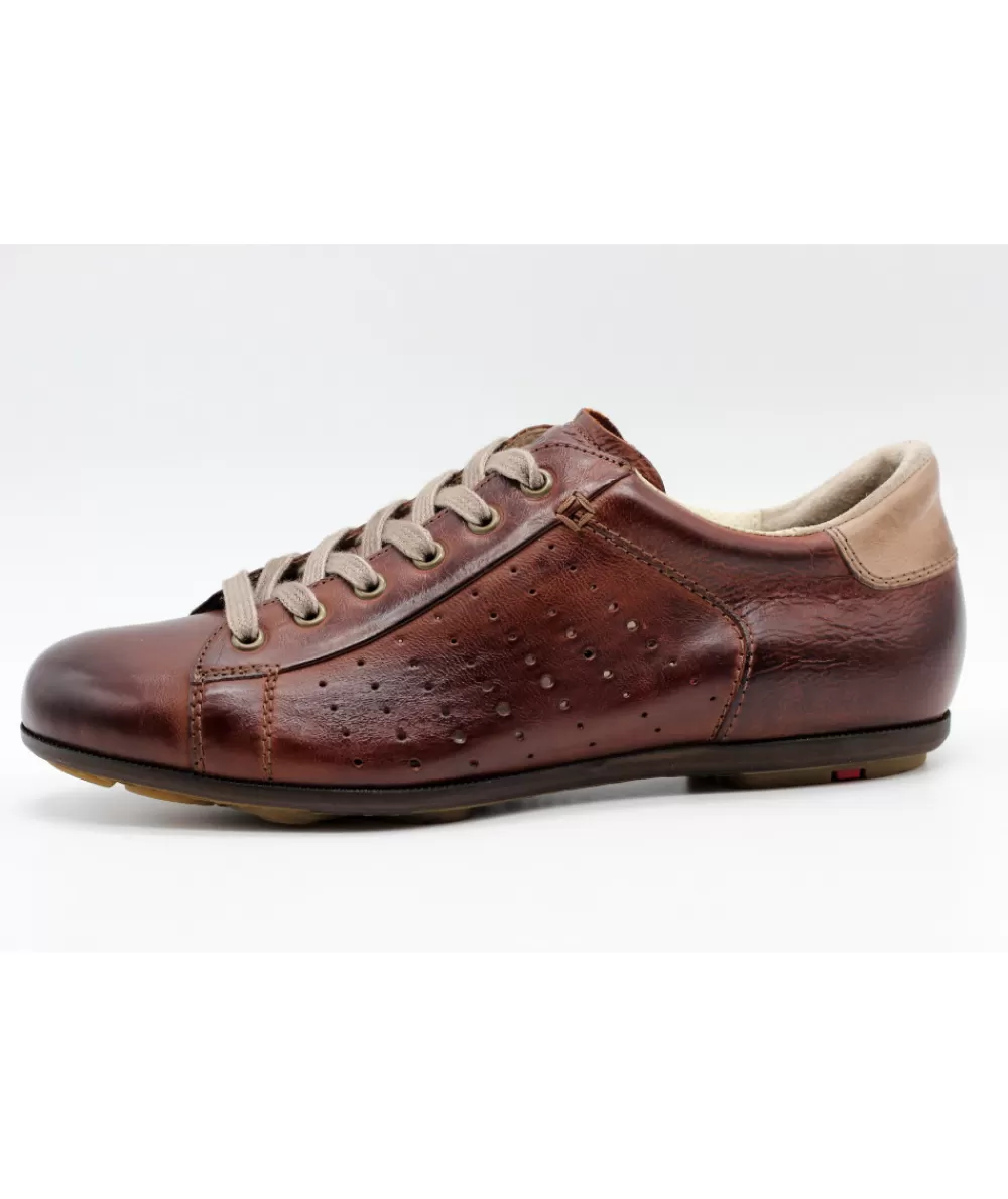 Man lloyd Sneakers- Barney